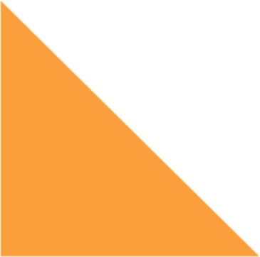 Bottom Orange bg Curve 2